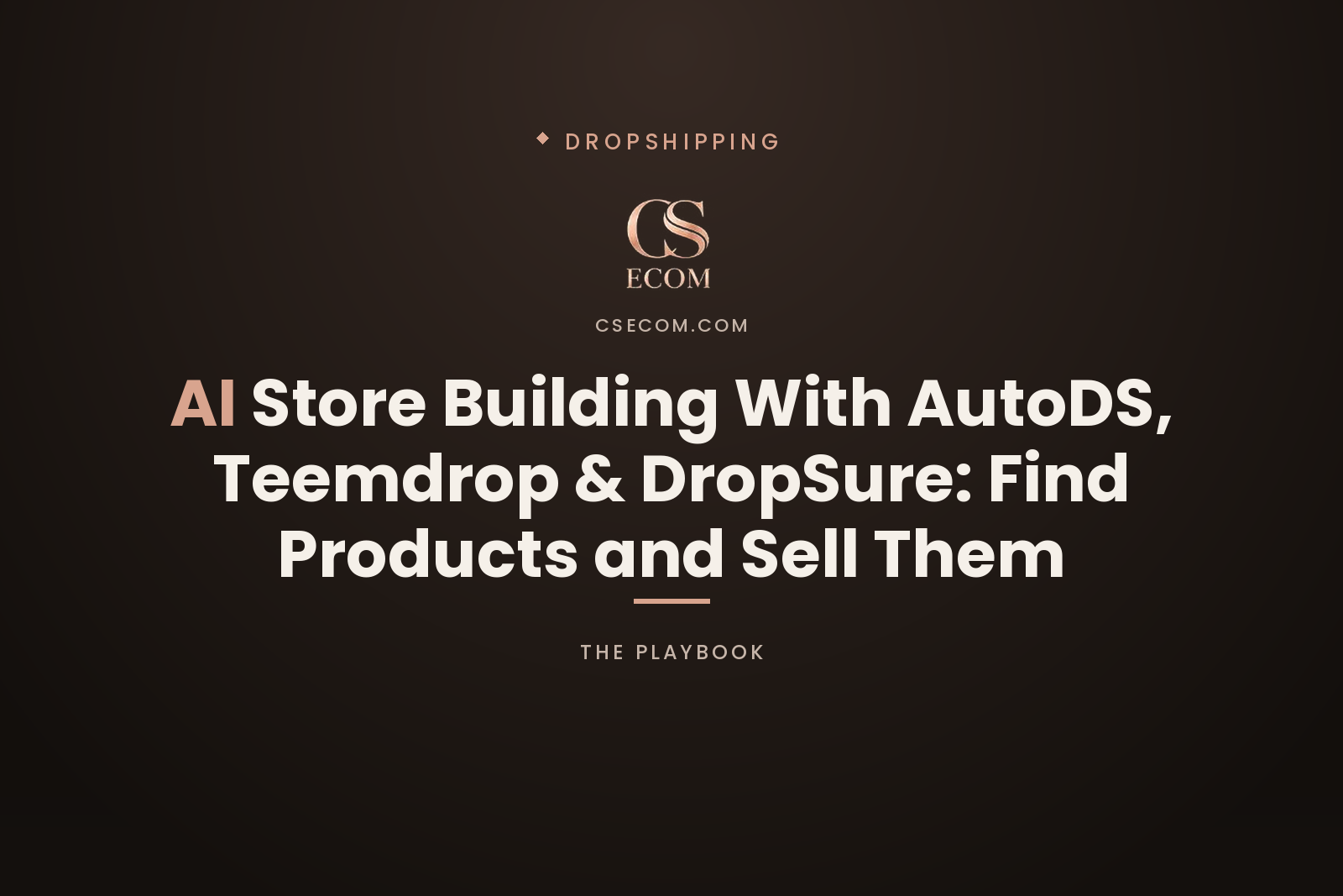 CS Ecom article cover — AI store building with AutoDS, Teemdrop and DropSure