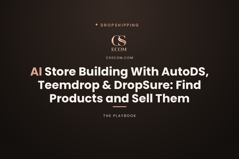 AI store building with AutoDS, Teemdrop & DropSure: find products and sell them